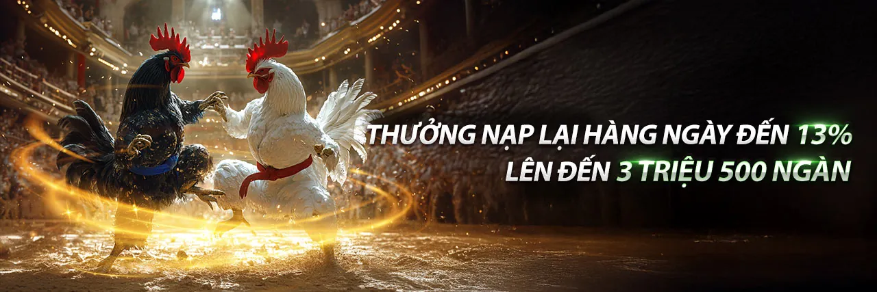 Ứng dụng bi888 Đá Gà trên điện thoại
