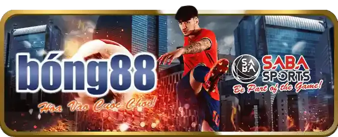 Đa dạng các trận đấu và loại hình cá cược